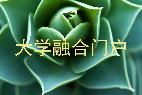 大学融合门户