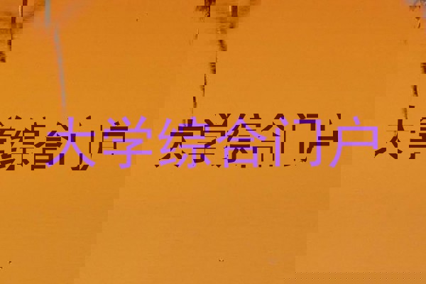大学综合门户