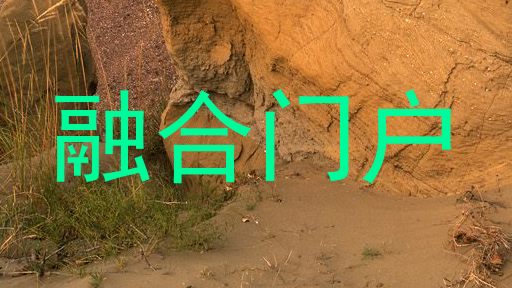 融合门户