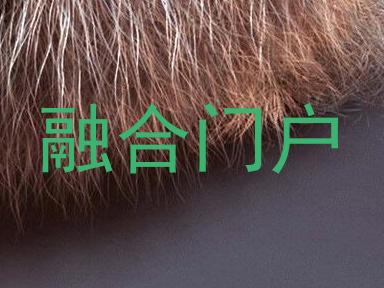 融合门户