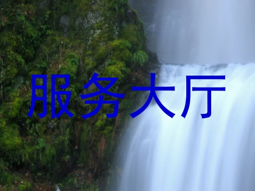 服务大厅