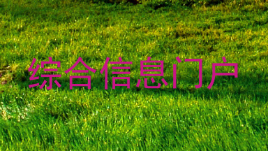 综合信息门户
