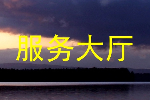 服务大厅