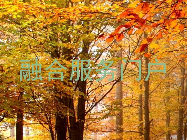 融合服务门户