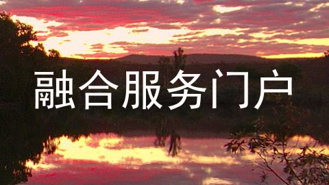 融合服务门户