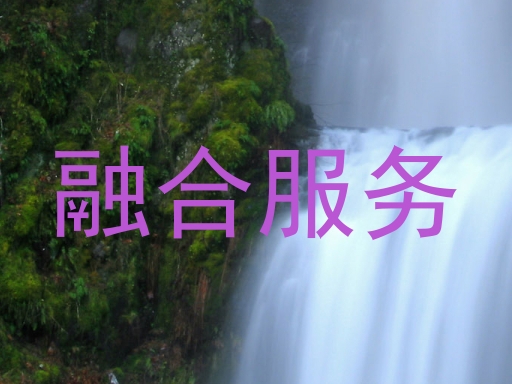 融合服务