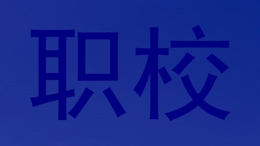 职校
