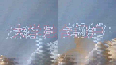 大学融合门户