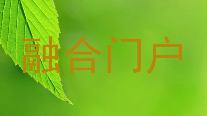融合门户