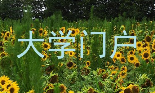 大学门户