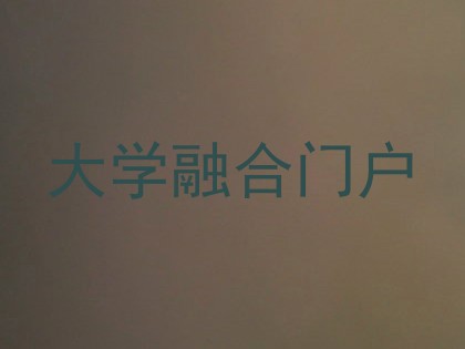 大学融合门户
