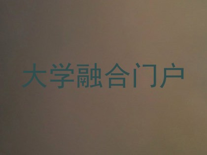 大学融合门户