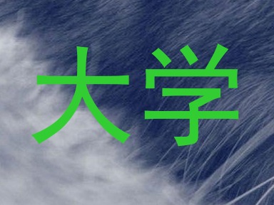大学