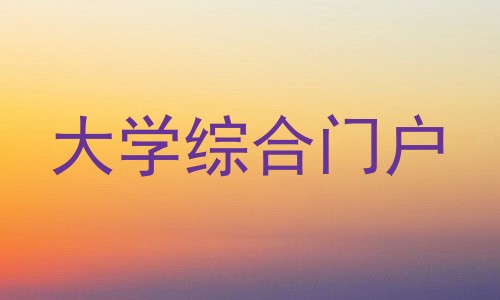 大学综合门户