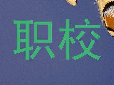职校