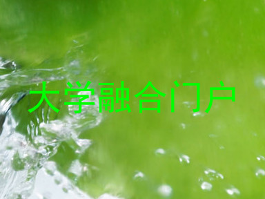 大学融合门户