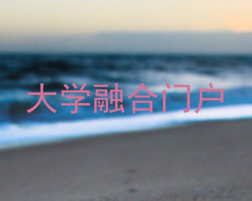 大学融合门户