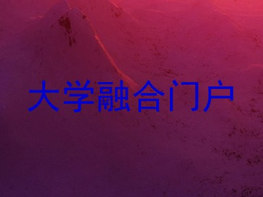 大学融合门户