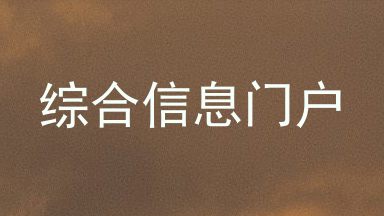 综合信息门户