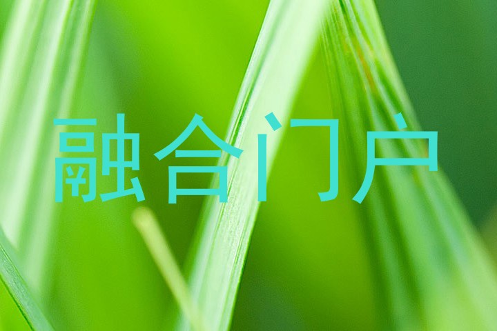 融合门户