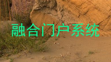 融合门户系统