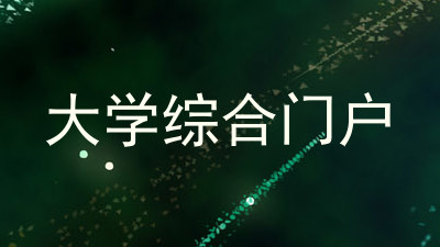 大学综合门户
