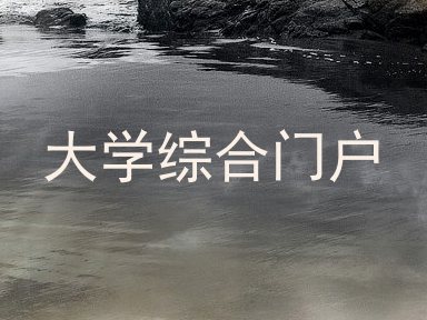 大学综合门户