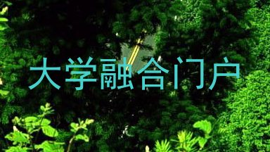 大学融合门户