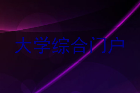 大学综合门户