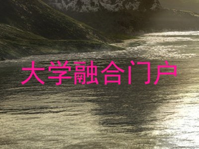 大学融合门户