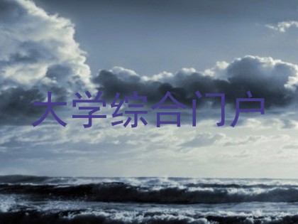 大学综合门户