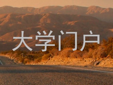 大学门户