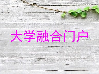 大学融合门户
