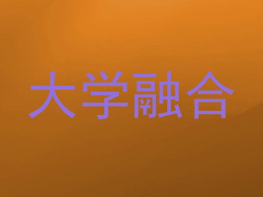 大学融合