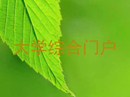 大学综合门户