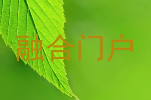 融合门户