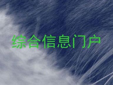 综合信息门户