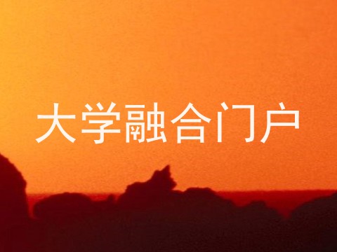 大学融合门户