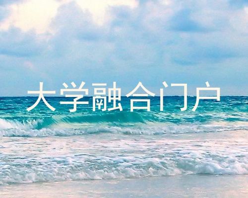 大学融合门户