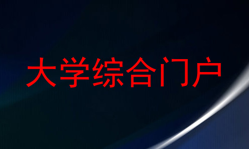 大学综合门户