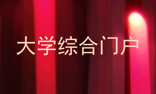 大学综合门户