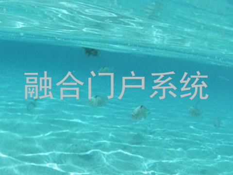 融合门户系统