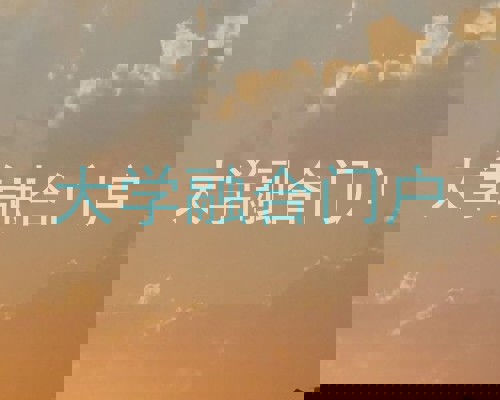 大学融合门户