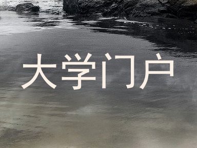大学门户