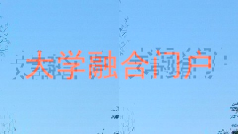 大学融合门户