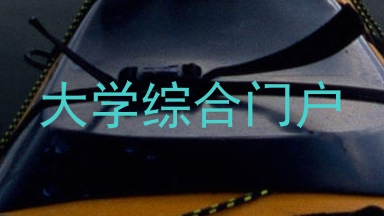 大学综合门户
