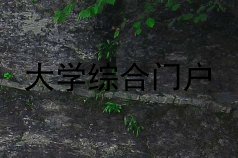 大学综合门户