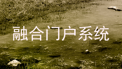 融合门户系统