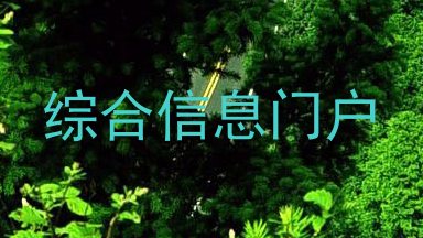 综合信息门户