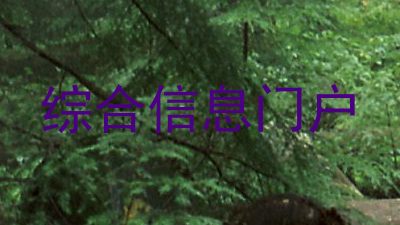 综合信息门户